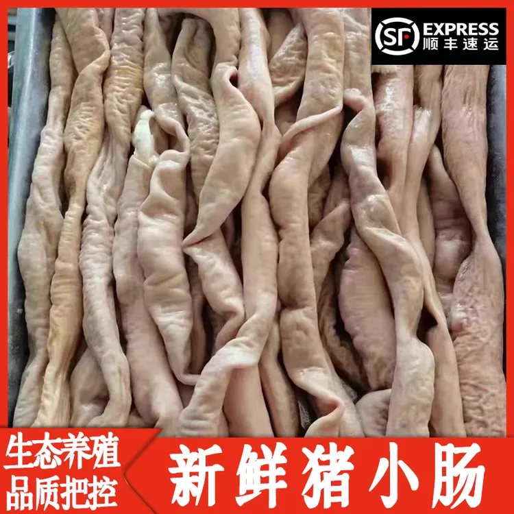 【顺丰包邮】猪小肠新鲜半熟免洗冷冻半成品新鲜猪小肠家庭装商用