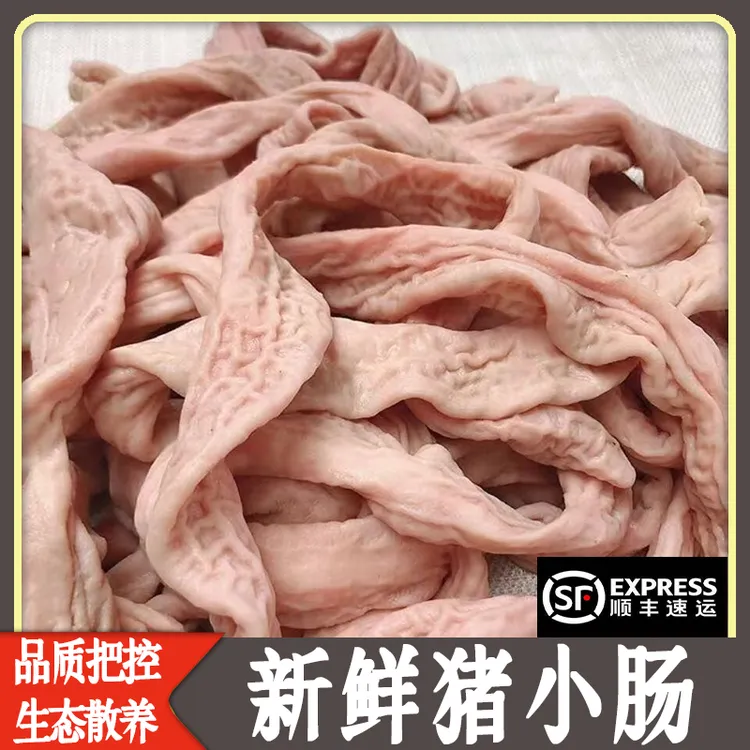 【顺丰包邮】新鲜冷冻猪小肠半熟猪小肠新鲜猪小肠干净半熟食材