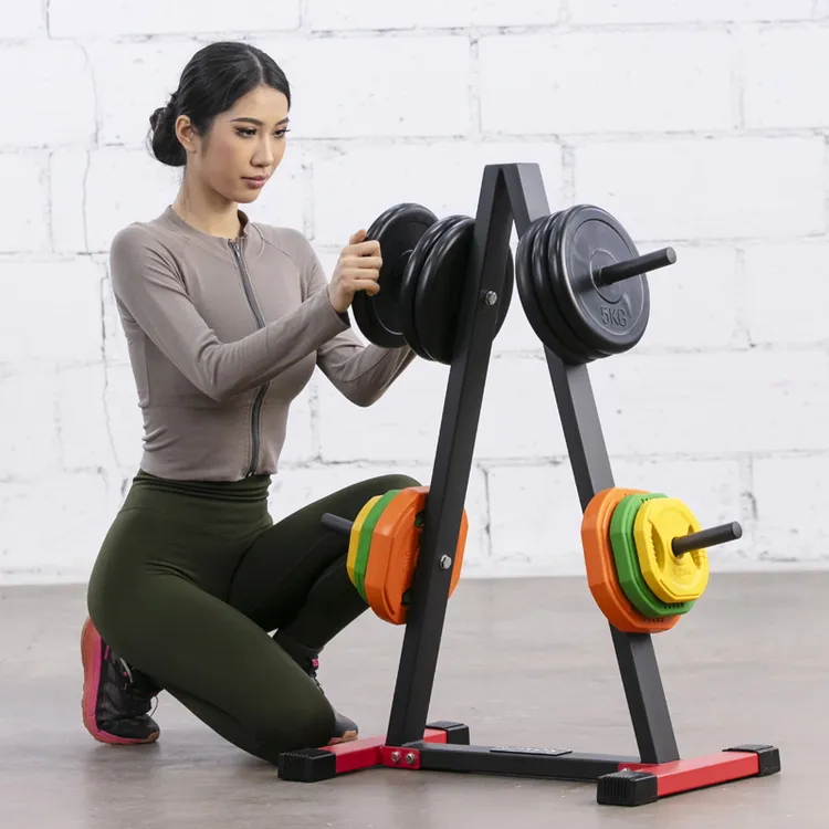 杠铃架小孔铃片架家用健身举重手抓杠铃全胶杠铃片储存架存放器材