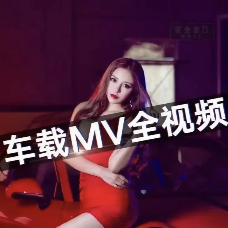 Dj全视频高清精选Mv嗨曲u盘车载优盘黑胶无损品质
