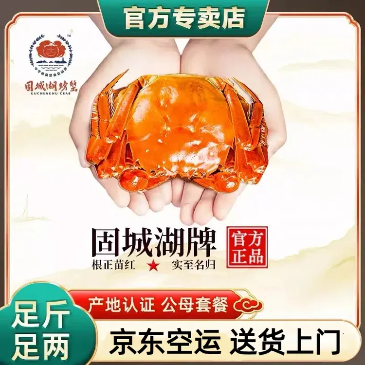 水江南【活蟹】正品授权固城湖牌大闸蟹2.0两6只全母礼盒装 WRH