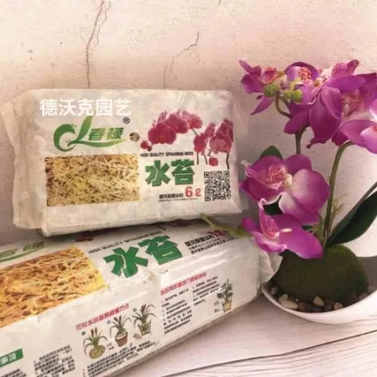 水苔兰花蝴蝶兰多肉栽培基质干苔藓水苔青苔绿色蝴蝶兰专用水苔