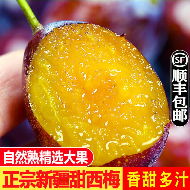 正宗新疆蓝蜜西梅新鲜多汁大果水果当季顺丰包邮现摘喀什西梅超甜