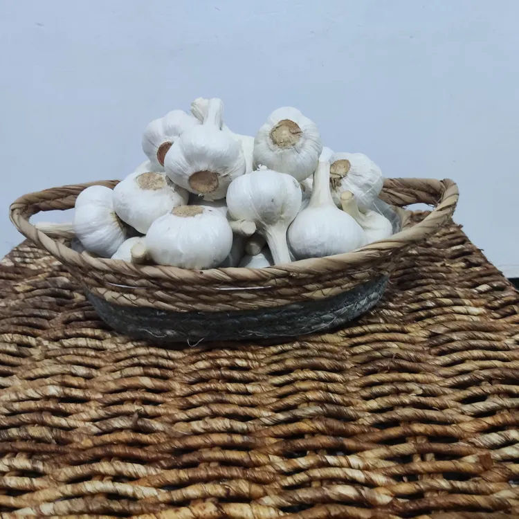 苍山老品种大蒜种子可吃可种（5至8瓣）