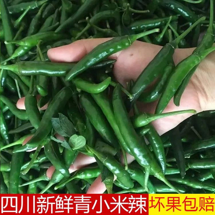 四川小米辣现摘现发新鲜辣椒朝天椒青椒农家自种青小米椒指天椒