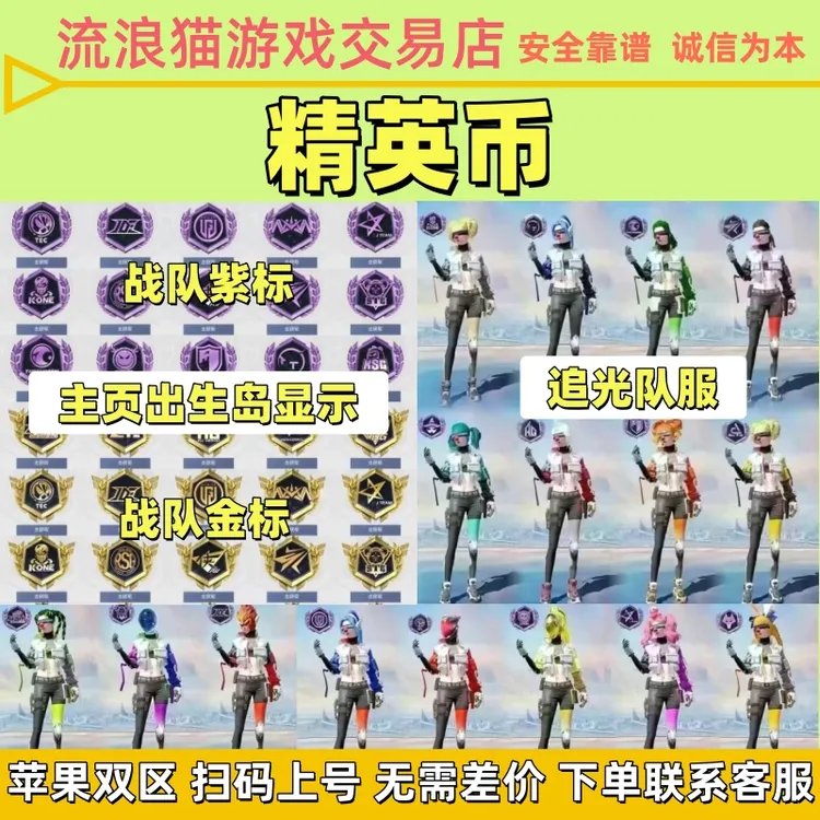 和平精英5级金标4级紫标出生岛LOGO充值精英币赛事币追光队服限量