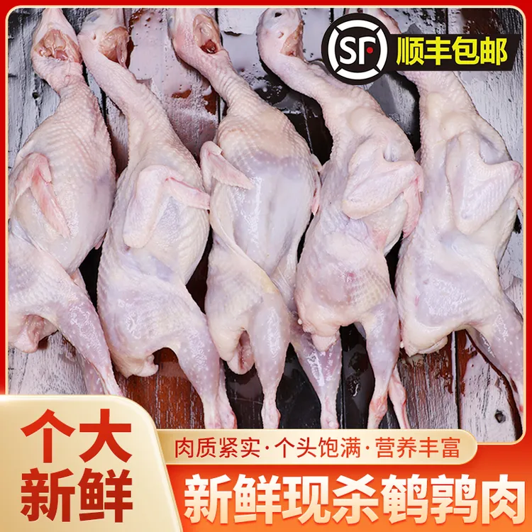 【养殖地基-鲜货直发】新鲜现杀鹌鹑肉放血活杀速冻烧烤煲汤鹌鹑