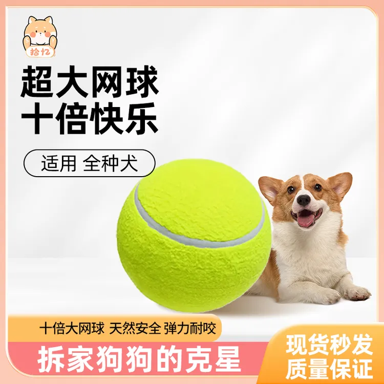 狗狗十倍快乐超大网球玩具耐咬磨牙解闷柴犬柯基法斗逗狗宠物用品