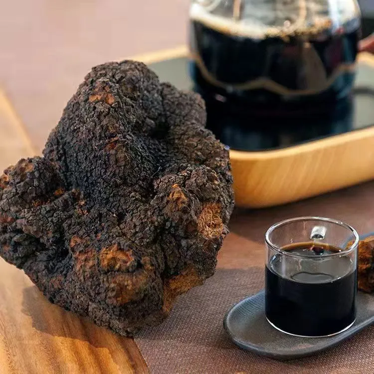 中俄边境桦树茸原货原块白桦茸营养浓郁煮水喝特别好天然桦褐孔菌