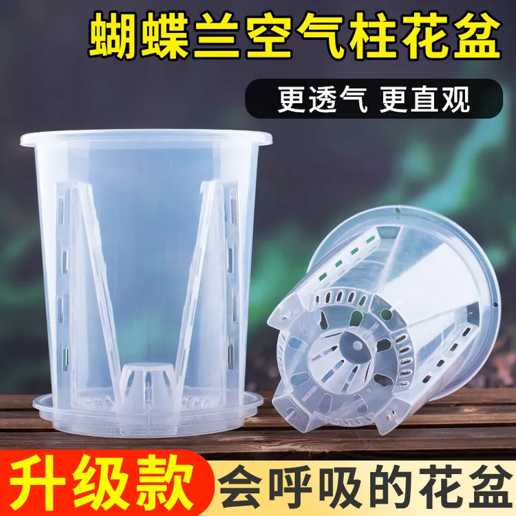 【浪漫七夕礼】透明透气控根盆兰花水苔蝴蝶兰专用花盆塑料花盆家用