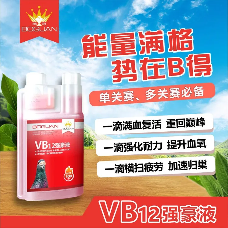 搏冠VB12强豪液鸽子用品