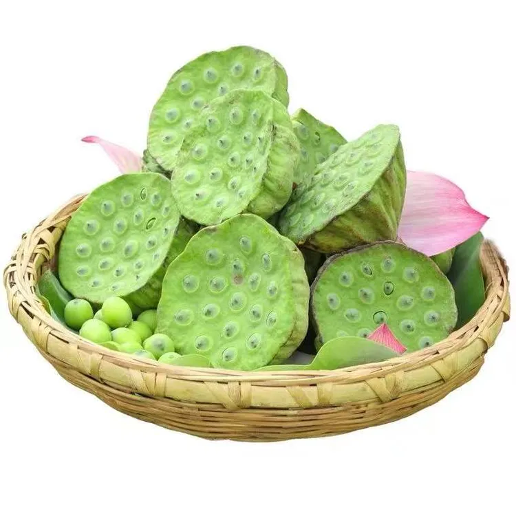 【顺丰包邮】新鲜莲子现摘莲米莲蓬莲子鲜莲子当天现剥生吃清甜鲜嫩