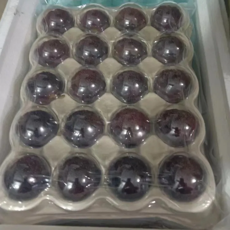 精品东魁杨梅大果江浙沪包邮