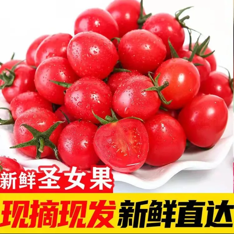 新鲜直达 现摘现发水果番茄