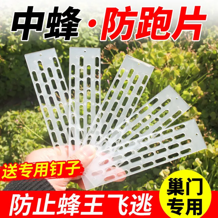 蜜蜂防逃片中蜂防跑王片蜂王多功能隔王片蜂箱巢门专用养蜂工具