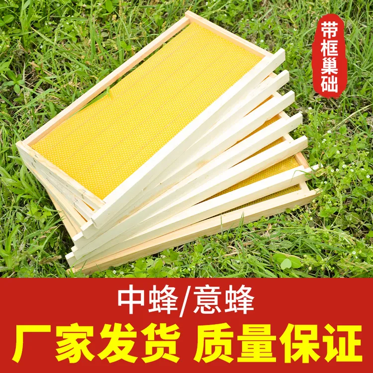 中蜂成品巢框标准巢框优选全套巢础带框杉木蜂蜡巢脾纯蜂蜡带脾框