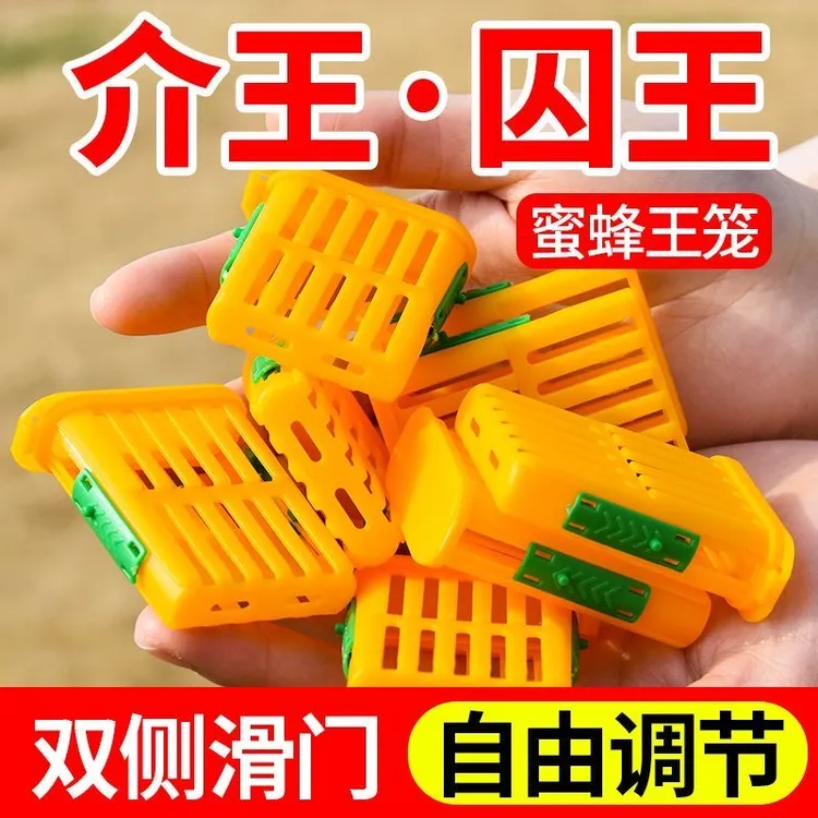 加大多功能王笼中意蜂关蜂王控王介储存王台防蜂群飞逃囚王笼批发