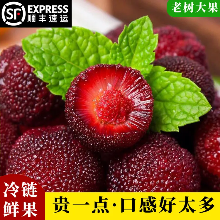 顺丰空运现摘黑炭杨梅新鲜浮宫大杨梅鲜果孕妇爱酸甜时令优质水果
