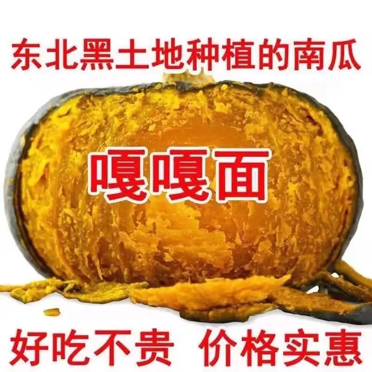 （铁柱家）东北黑龙江大地窝瓜黑土地种植