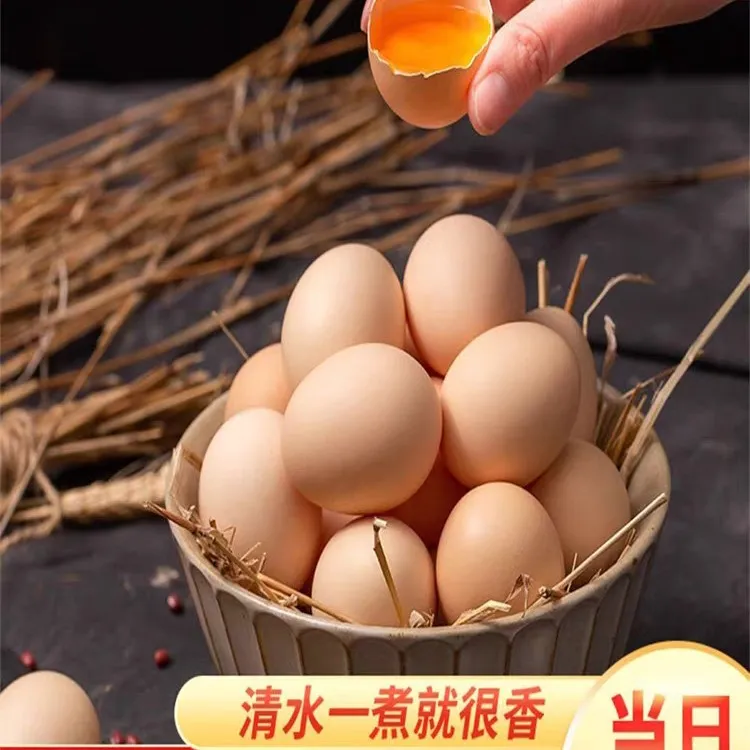 【大勇专属】农村笨鸡蛋50枚顺丰包邮！