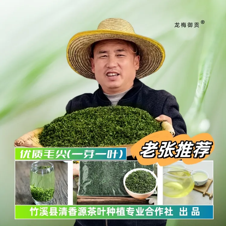2025年明前头春头采高山优质毛尖（一芽一叶）