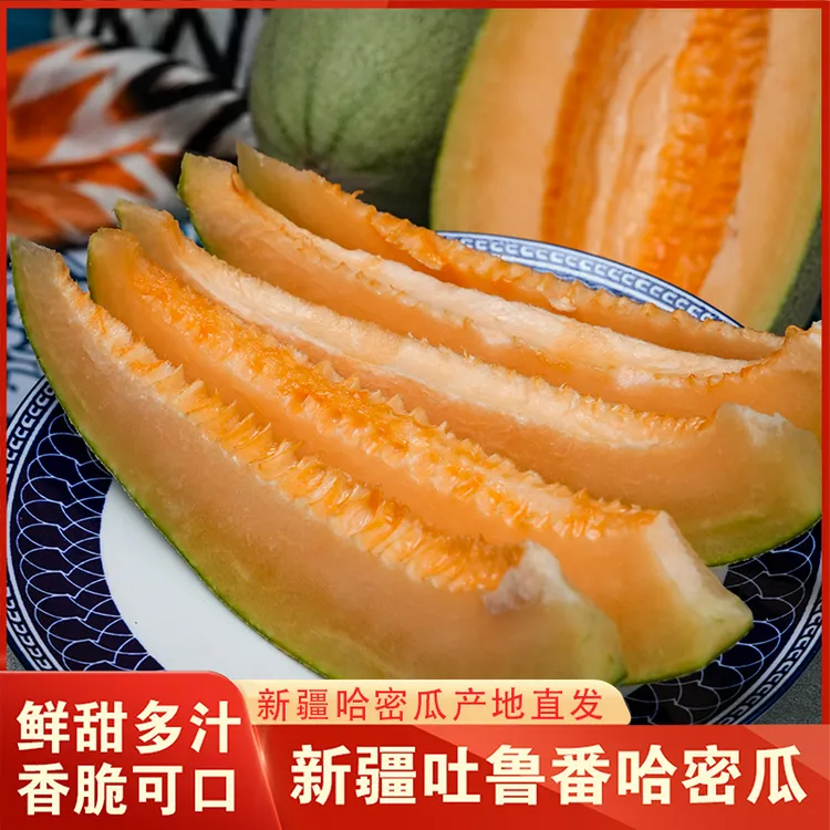 新疆特产水果吐鲁番西州蜜哈密瓜脆甜多汁产地直发当季鲜果