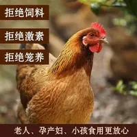（1只装）皖南散养黑脚老母鸡不土可退（带内脏）2.5-3斤冷链