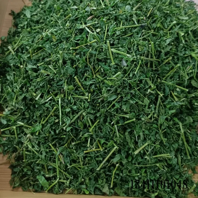 野生户肝茶鸡骨草(相思藤)袋装250g半斤装一斤装