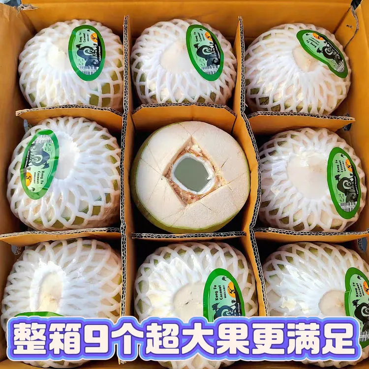 功夫椰青泰国进口香水椰青大果整件9颗(发特大果净重约22斤)