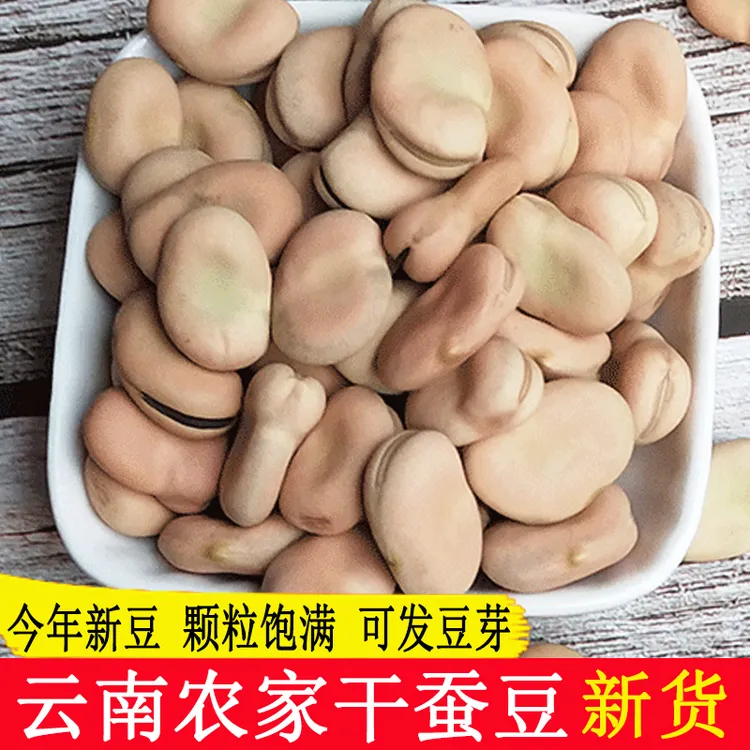 云南干蚕豆生的新货农家新蚕豆饱满胡豆可发豆芽杂粮白皮蚕豆子