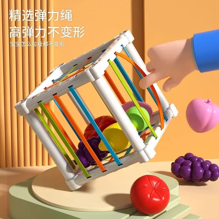 婴幼儿塞塞乐8个月宝宝-手指精细玩具新生儿启蒙早教益智