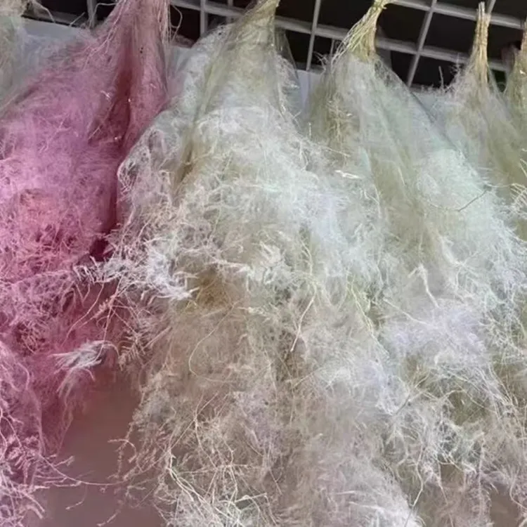 仙气文竹永生花干花婚庆布置装饰软装材料手工DIY材料