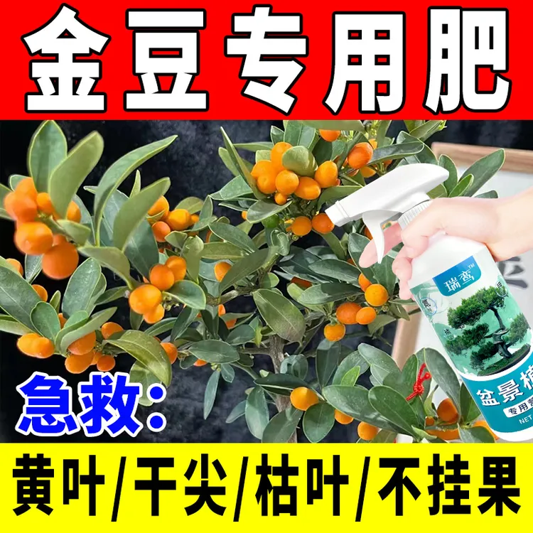 金豆专用肥促挂果生根老桩盆景营养液盆栽金豆防落叶黄叶盆景肥料