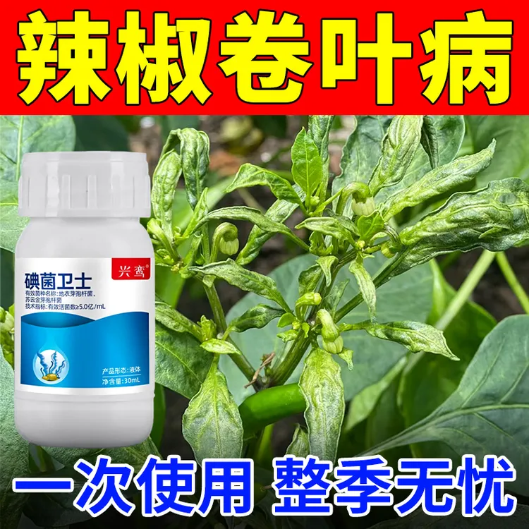 辣椒卷叶病病毒病专用肥防黄叶疫病根腐病炭疽病枯萎病微菌剂肥料