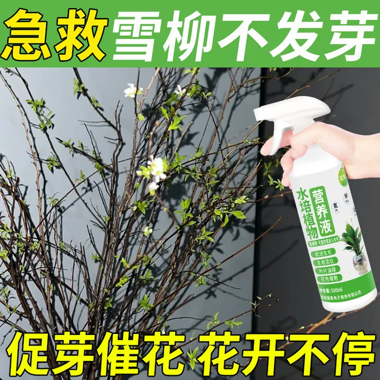 雪柳营养液生根壮苗抗根腐龙柳水培肥料枯枝发芽专用肥促新芽开花
