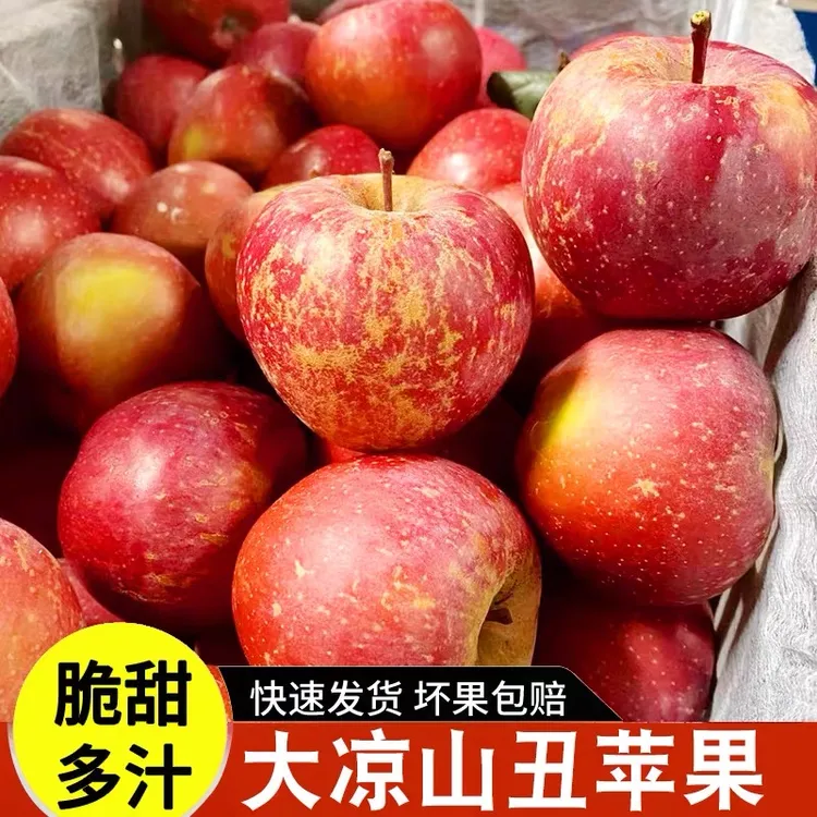 四川盐源丑苹果新鲜应季水果脆甜多汁果园现摘2斤/5斤