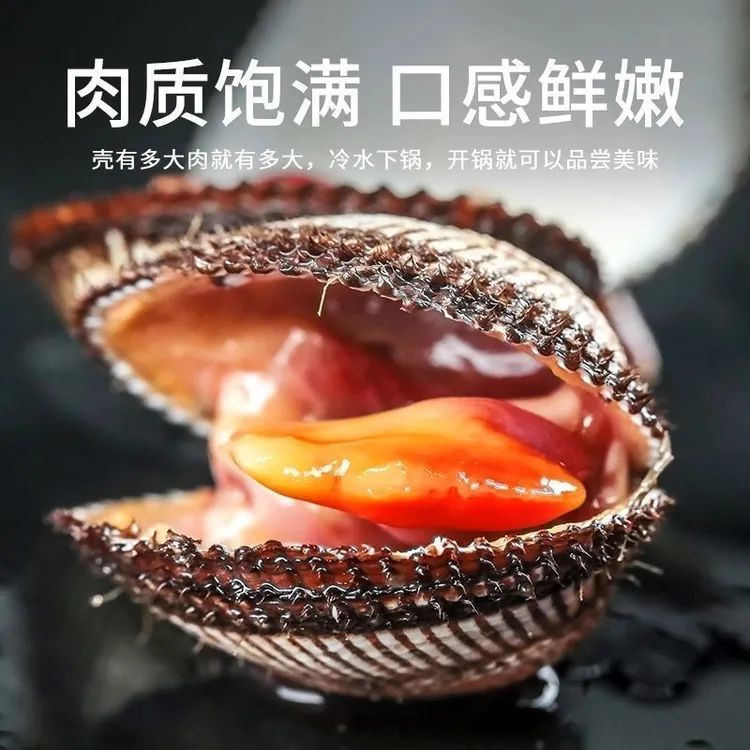 冷链包邮海鲜水产贝类鲜活毛蛤泥蚶毛蚶鲜活血蛤新鲜赤贝大毛蛤