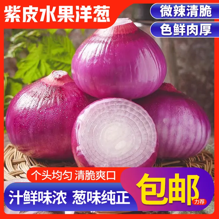 甘肃定西临洮新鲜现挖可生吃的紫皮水果洋葱清甜可口