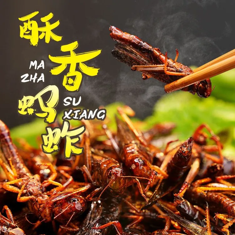 香酥新鲜油炸蚂蚱五香即食麻辣高蛋白肉类干货调味下酒菜蚱蜢昆虫