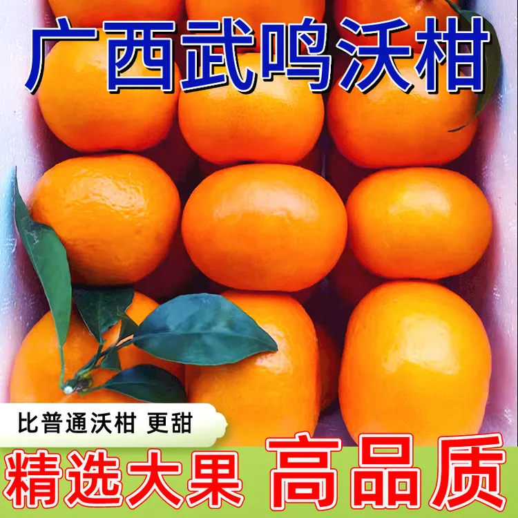 【精品果王】广西正宗武鸣沃柑新鲜橘子桔子5/10斤皮薄爆汁产地直发