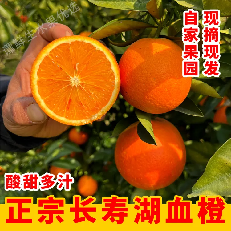 重庆长寿湖塔罗科血橙5斤8斤新鲜现摘应季水果玫瑰香血橙有籽微酸