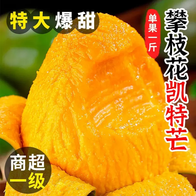 四川攀枝花凯特芒果10斤整箱应当季新鲜水果特大青皮芒果超甜包邮
