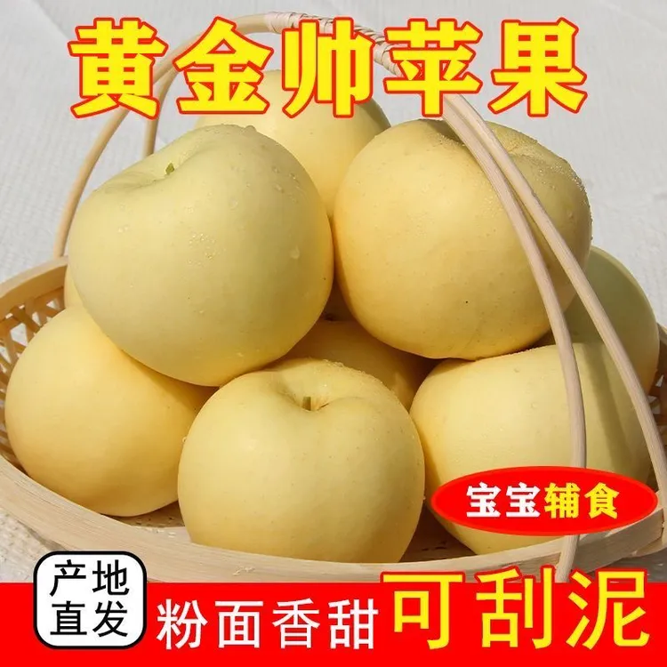 甘肃天水黄元帅苹果新鲜水果批发老人宝宝辅食刮泥黄金帅香蕉苹果