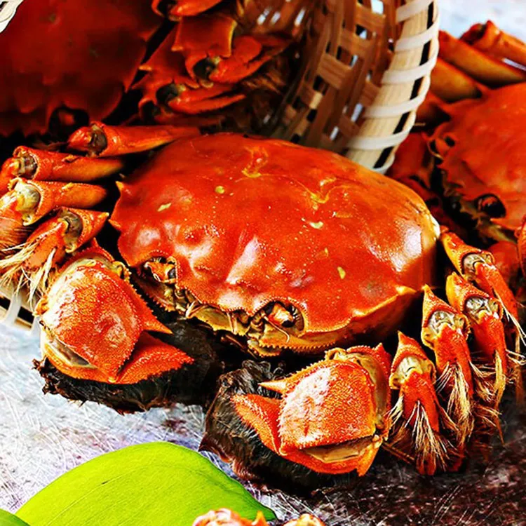 12只全母活蟹洪泽湖全母螃蟹1.4-1.6两京东顺丰