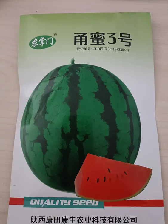 甬蜜三号麒麟美都西瓜子500粒装