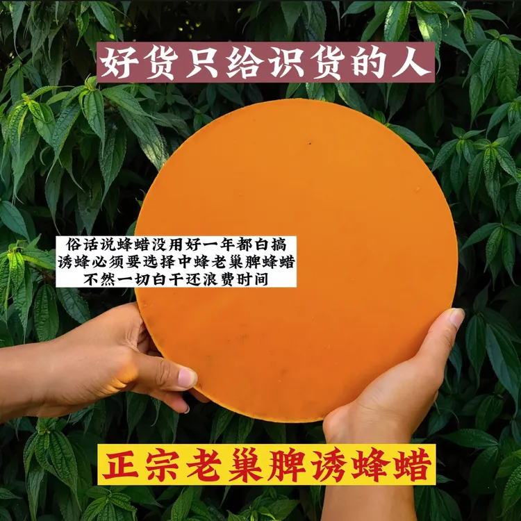 正宗蜂蜡 诱蜂蜡 老巢脾诱蜂蜡 诱中蜂  户外诱蜂蜡天然清香