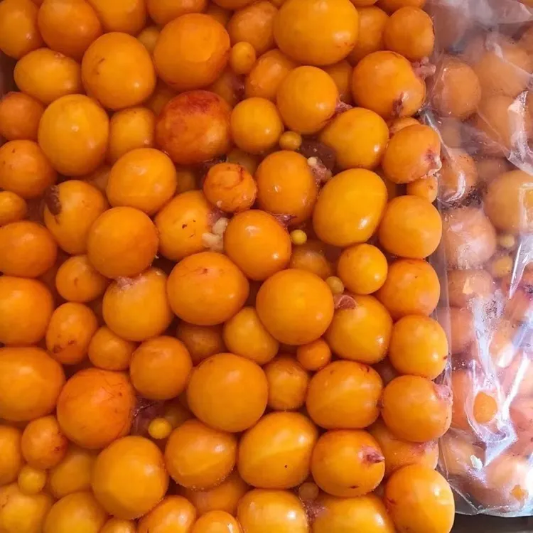 蛋黄新鲜冷冻生鸡蛋黄卵天然卵凝脂蛋黄宠物狗狗猫咪零食美毛护肤