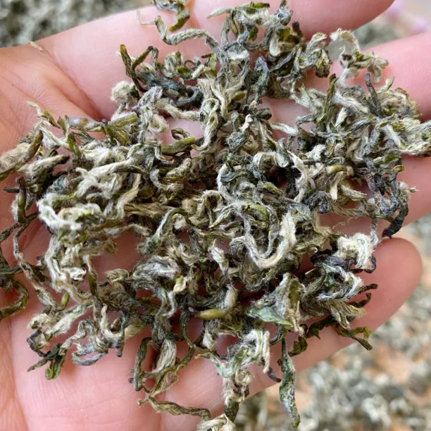 名雅春竹2024新茶手工毛峰甘露蒙顶山高山云雾茶250克500克
