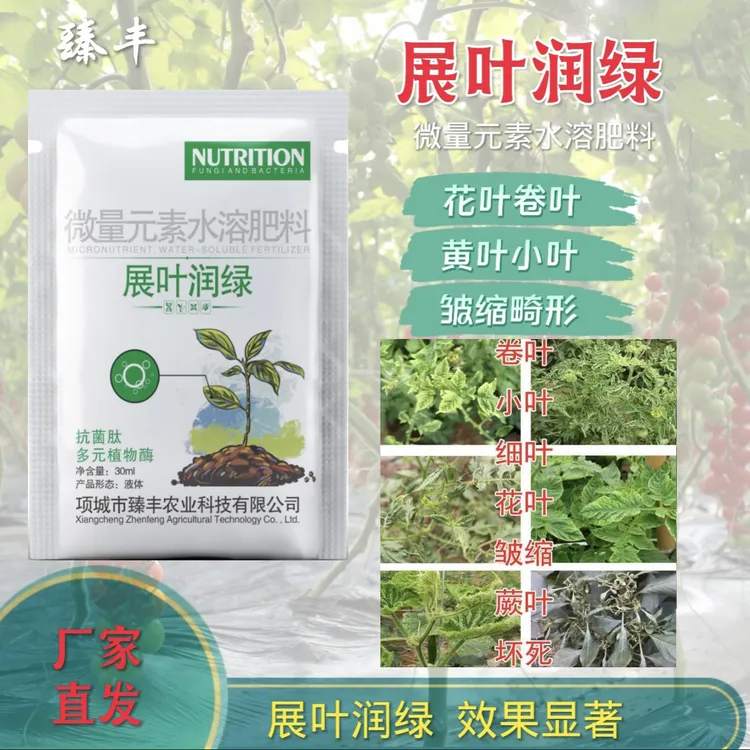 臻丰展叶润绿  黄化卷叶小叶病毒病 黄瓜辣椒番茄西红柿