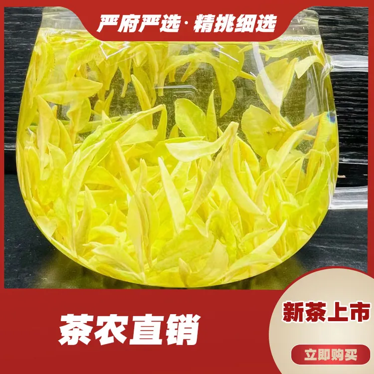 650（2025年）新茶 奶白 皇金芽  严府白茶好茶品质